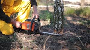 Best Lawn Grading and Leveling  in Leisuretowne, NJ