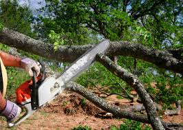 Best Utility Line Clearance  in Leisuretowne, NJ